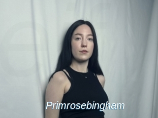 Primrosebingham