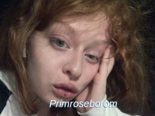 Primroseborom