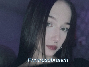 Primrosebranch