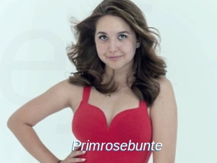 Primrosebunte
