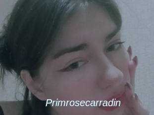 Primrosecarradin