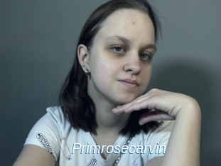 Primrosecarvin