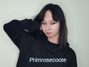Primrosecoote