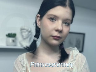 Primrosefenney