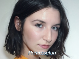 Primrosefurr