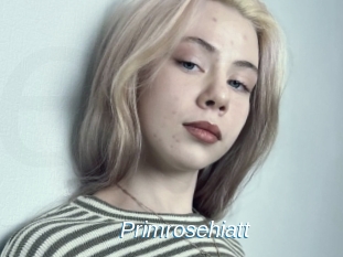 Primrosehiatt