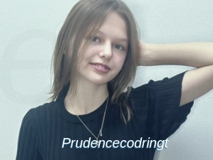Prudencecodringt