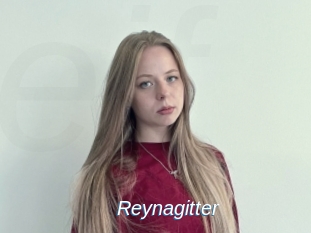 Reynagitter