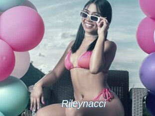 Rileynacci