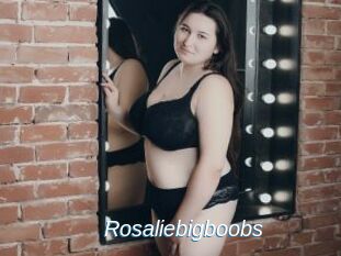Rosaliebigboobs