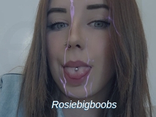 Rosiebigboobs