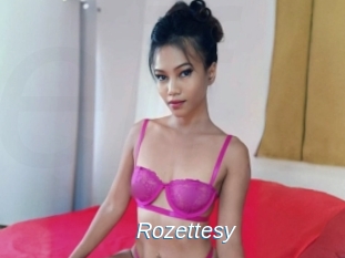 Rozettesy