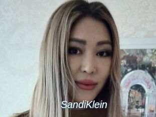 SandiKlein