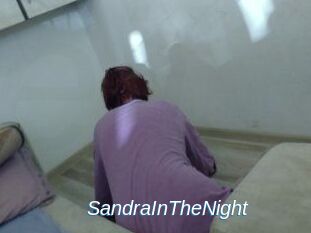 SandraInTheNight