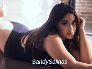 SandySalinas