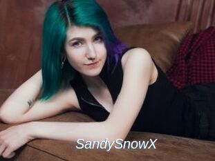 SandySnowX