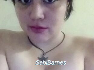 Sebi_Barnes
