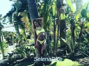 SelenaDice
