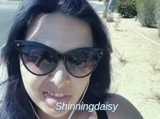Shinningdaisy