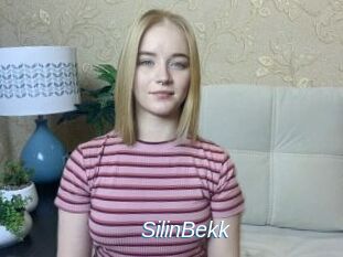 SilinBekk