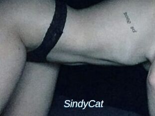 SindyCat