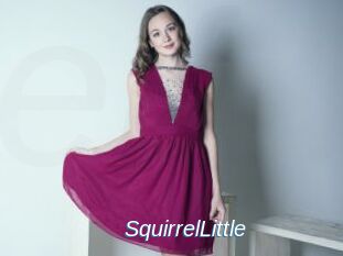 SquirrelLittle