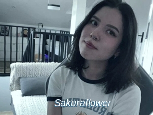 Sakuraflower