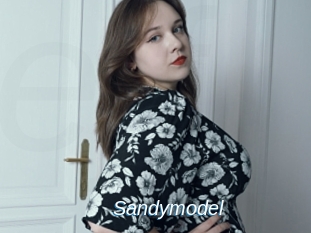 Sandymodel