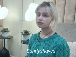 Sandyshayes