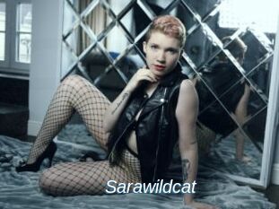 Sarawildcat
