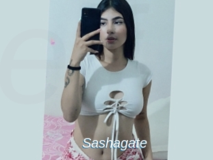 Sashagate