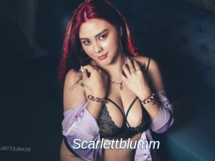 Scarlettblumm