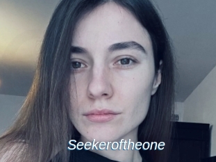 Seekeroftheone