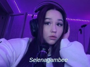 Selenagambee
