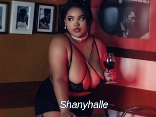 Shanyhalle