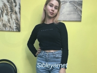 Sibleyarnet