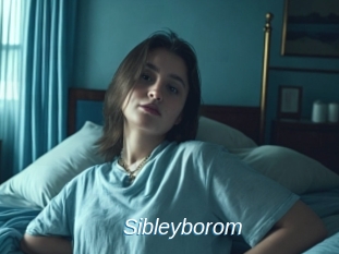Sibleyborom