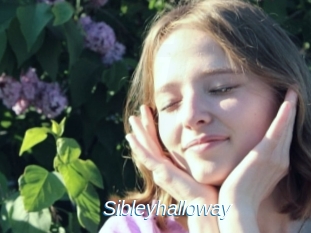 Sibleyhalloway