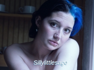 Sillylittlesage