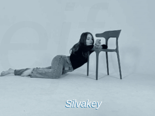 Silvakey