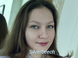 Silverbeech