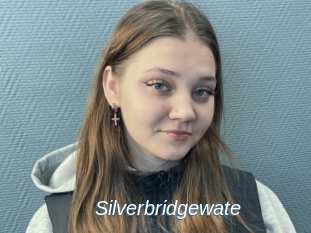 Silverbridgewate