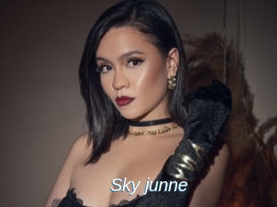 Sky_junne