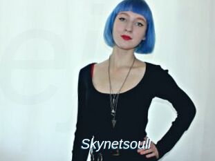 Skynetsoull