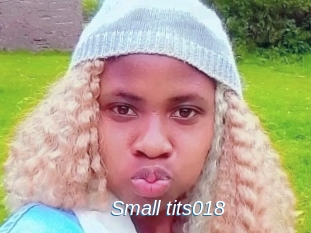 Small_tits018