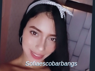 Sofiaescobarbangs