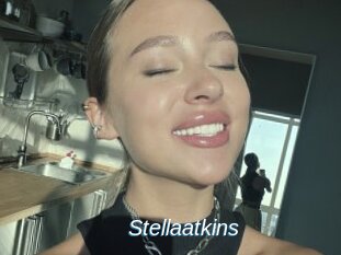 Stellaatkins