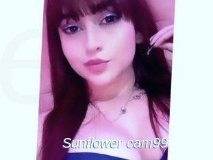 Sunflower_cam99