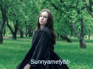 Sunnyamelybb