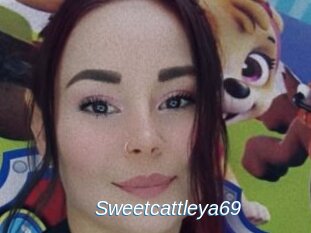 Sweetcattleya69
